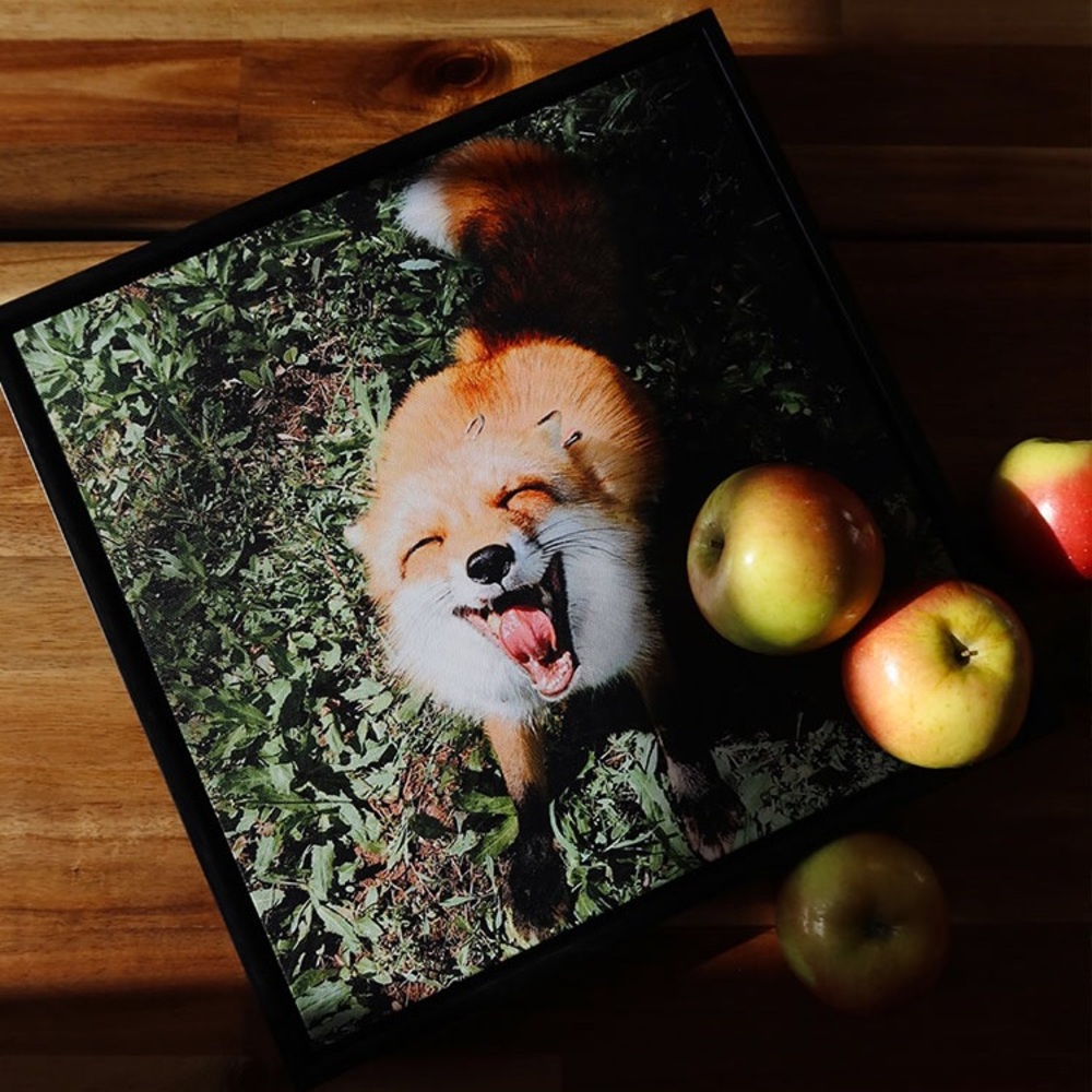 Smiling Fox - Rinoarts Collection - Picture 2 of 5